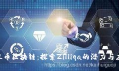ZIL币区块链：探索Zilliqa的潜力与应用