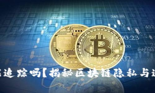 Tokenim能追踪吗？揭秘区块链隐私与追踪的真相
