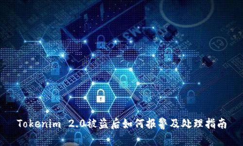 Tokenim 2.0被盗后如何报警及处理指南
