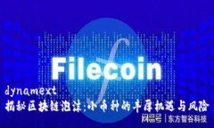 dynamext揭秘区块链泡沫：小币种的丰厚机遇与风险