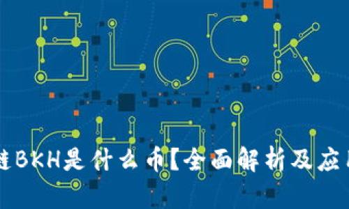 区块链BKH是什么币？全面解析及应用前景