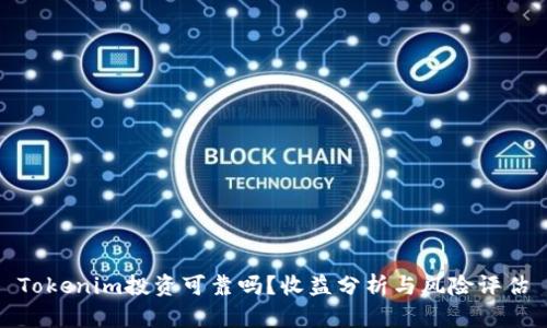 Tokenim投资可靠吗？收益分析与风险评估