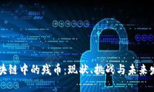 区块链中的残币：现状、挑战与未来发展