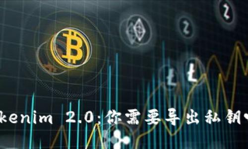 Tokenim 2.0：你需要导出私钥吗？