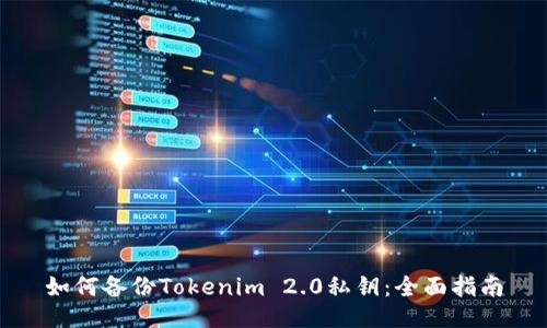 如何备份Tokenim 2.0私钥：全面指南