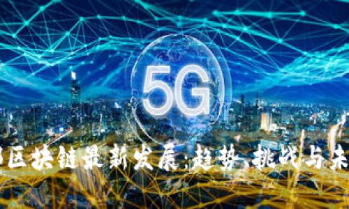 中西部区块链最新发展：趋势、挑战与未来展望