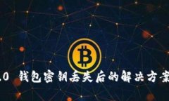 Tokenim 2.0 钱包密钥丢失后的解决方案及注意事项