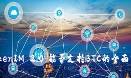 2019年TokenIM 2.0：能否支持BTC的全面分析与解读