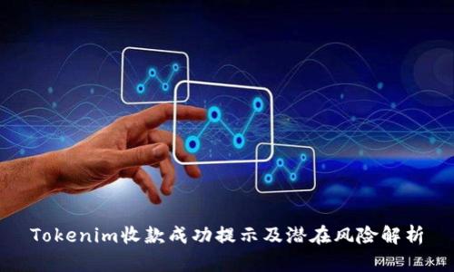 Tokenim收款成功提示及潜在风险解析