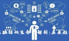 无限币区块链的生命力解析：未来趋势与挑战