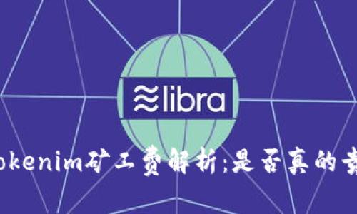 Tokenim矿工费解析：是否真的贵？