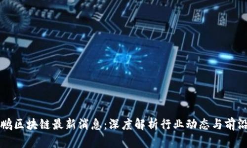 王大鹏区块链最新消息：深度解析行业动态与前沿技术