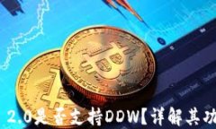 Tokenim 2.0是否支持DDW？详解其功能与应用