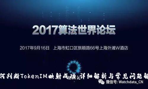 如何判断TokenIM映射成功：详细解析与常见问题解答