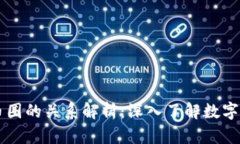 区块链与币圈的关系解析：深入了解数字经济的