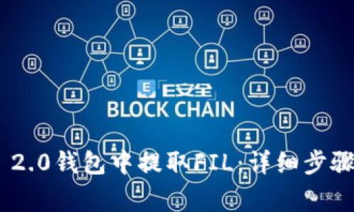 如何在Tokenim 2.0钱包中提取FIL：详细步骤与常见问题解答