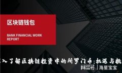 深入了解区块链投资中的所罗门币：机遇与挑战
