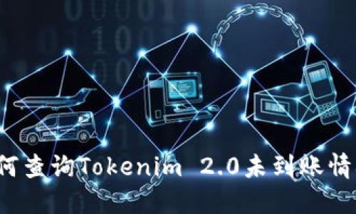 如何查询Tokenim 2.0未到账情况？