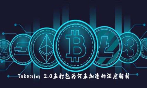 Tokenim 2.0未打包为何未加速的深度解析