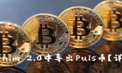 如何在Tokenim 2.0中导出Puls币？详细步骤解析