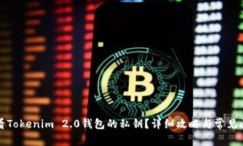 如何查看Tokenim 2.0钱包的私钥？详细攻略与常见问题解答