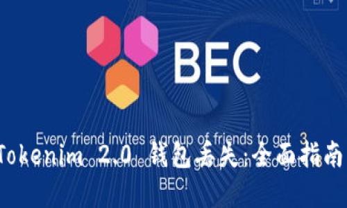 如何应对 Tokenim 2.0 钱包丢失：全面指南与解决方案