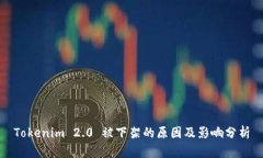 Tokenim 2.0 被下架的原因及影响分析