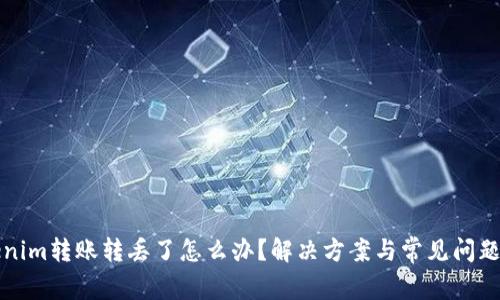 Tokenim转账转丢了怎么办？解决方案与常见问题解析